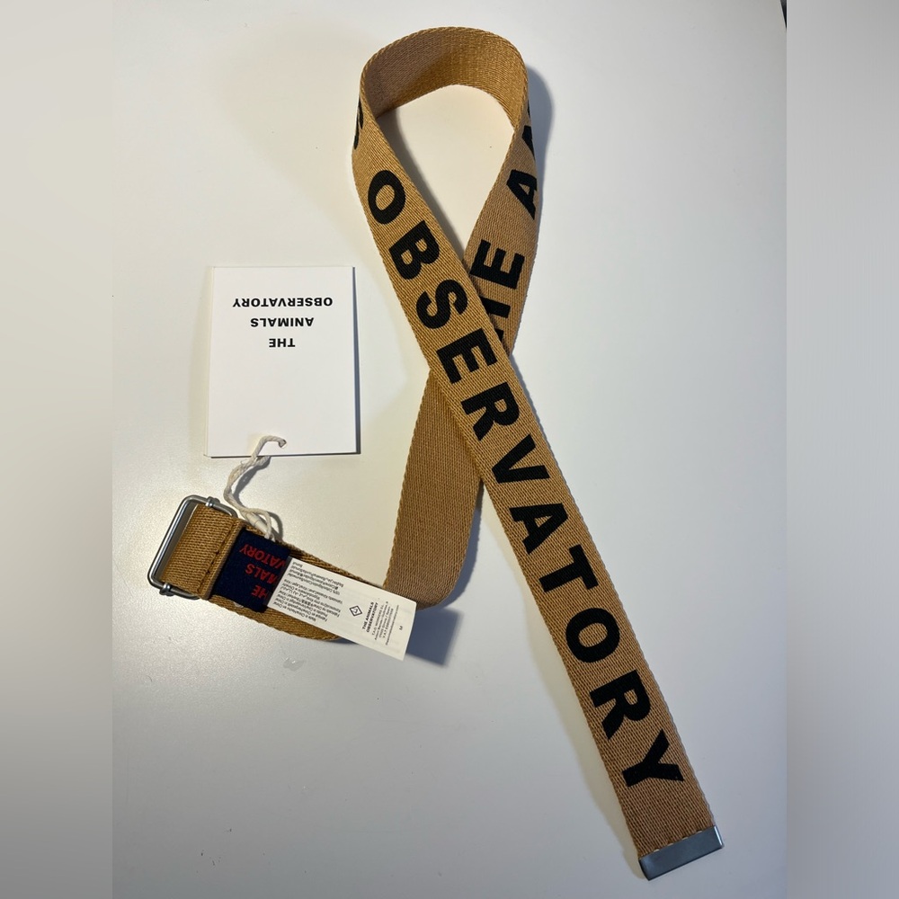The Animals Observatory tan Canvas Logo Belt NWT!